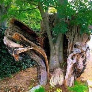 Meet your Posher, Roberto